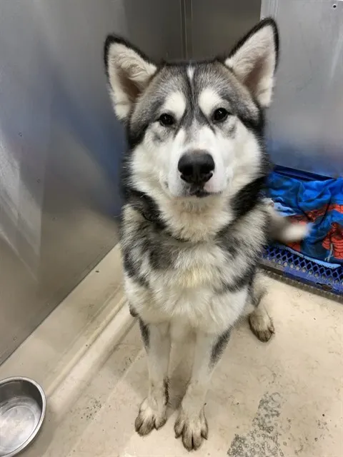 Yukon