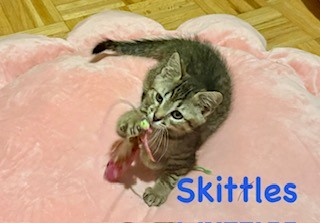 Skittles
