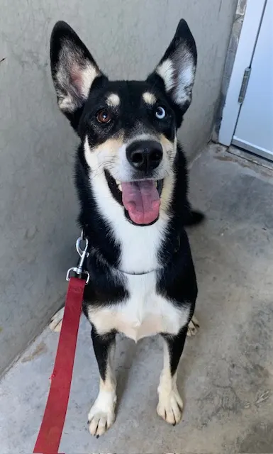 Luna