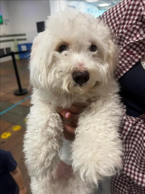 Sammy