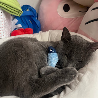 Pom Pom