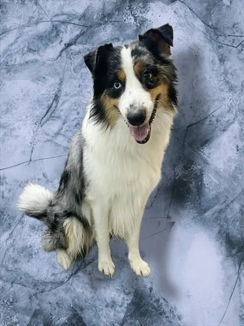 Marble