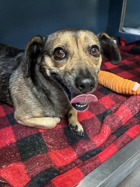 *Madge
