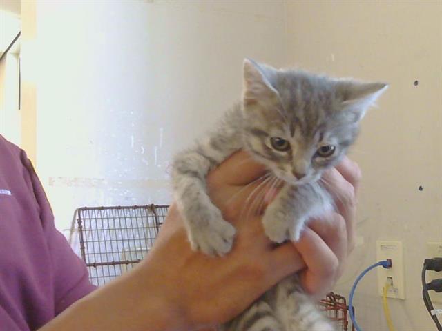 *Miss Charlie