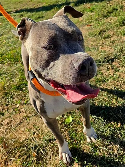 Wilma