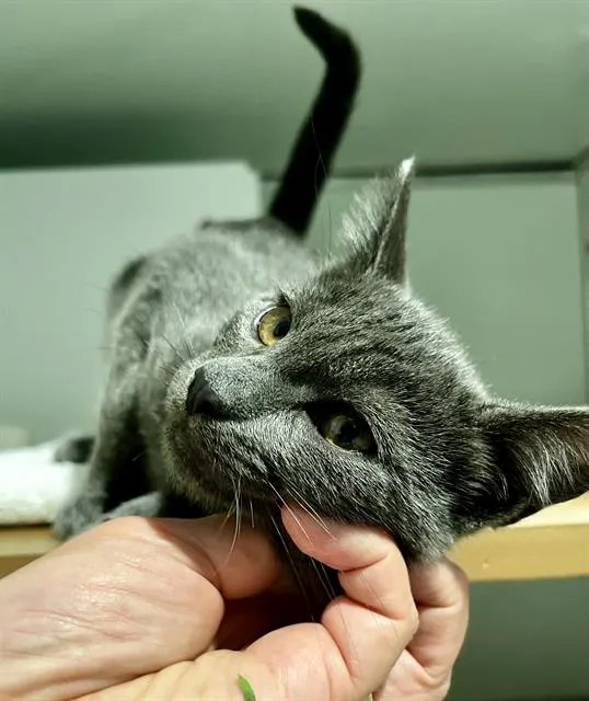 Lucky