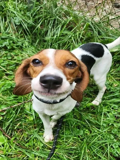 Ellie Mae