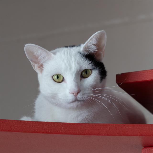 Winnie