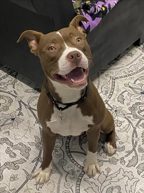 Deuce