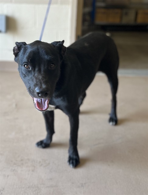 Max