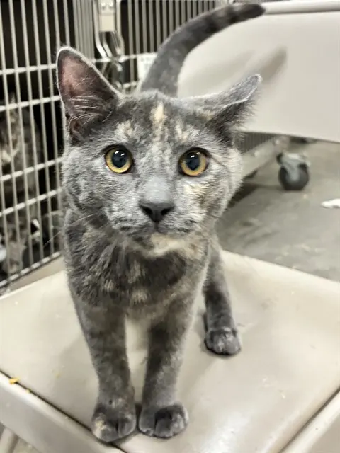Luna