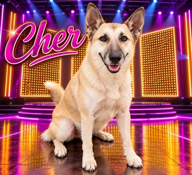 Cher