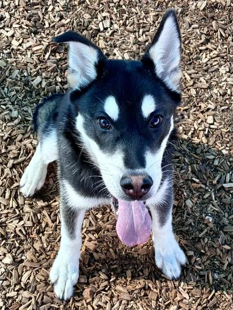 Jax