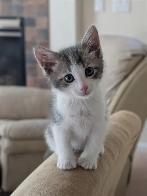 George