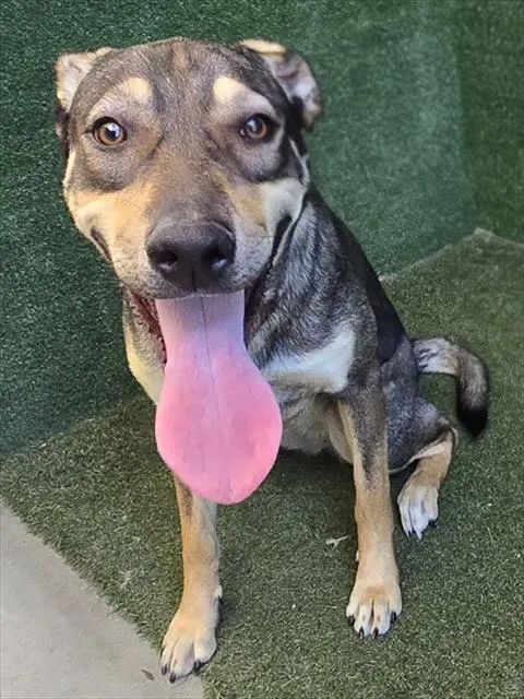 Mia