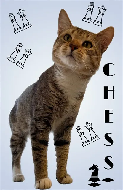 Chess