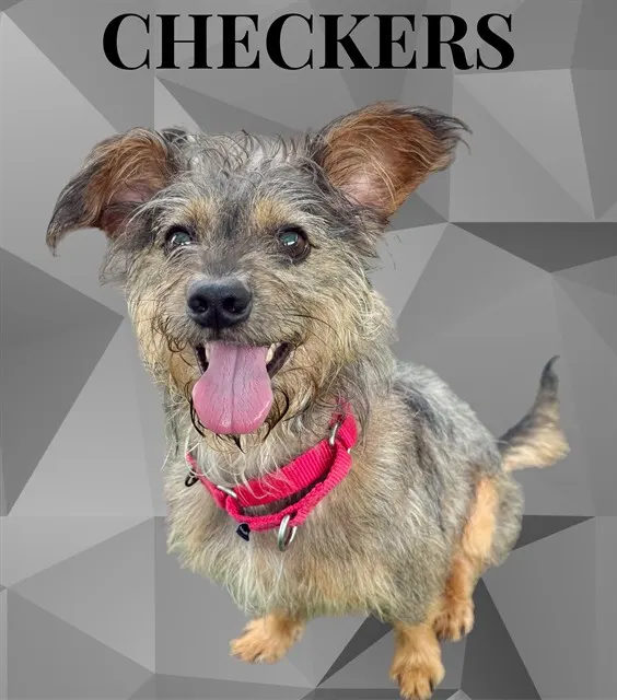 Checkers