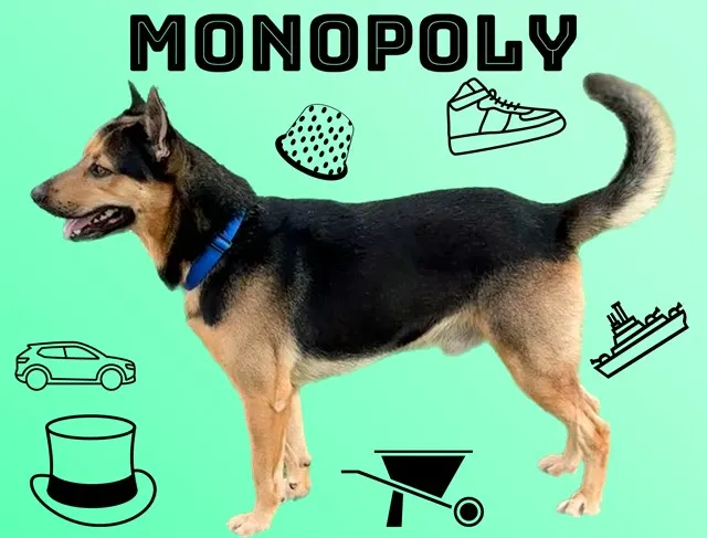 Monopoly