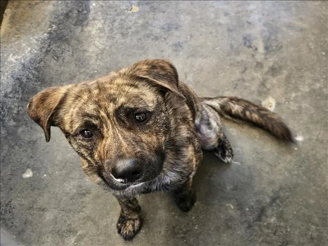 Roscoe