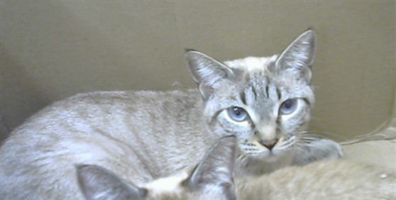 Winifred