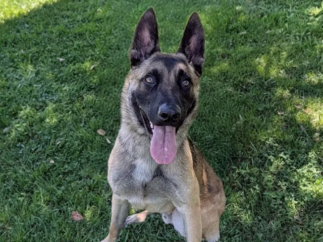 Max