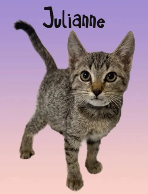 Julianne