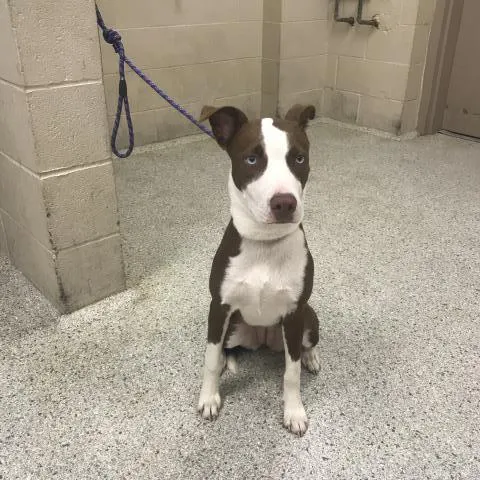 Fiona
