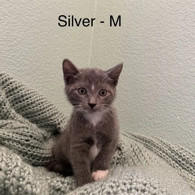 Silver