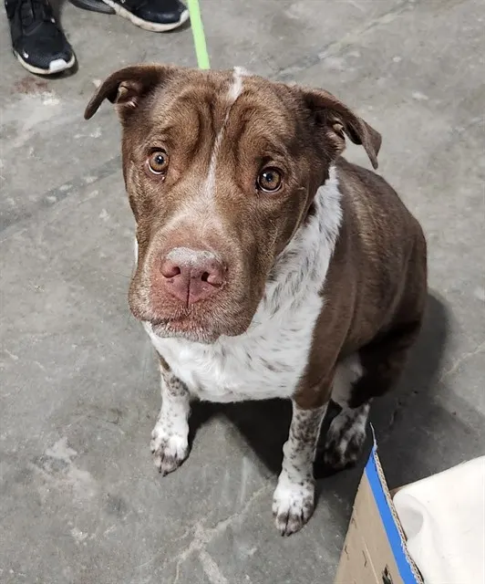 Odin
