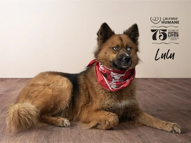 Lulu