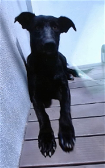 Matilda