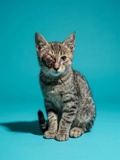 Tiny