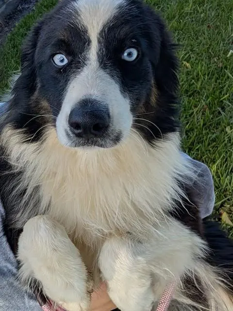 Fiona