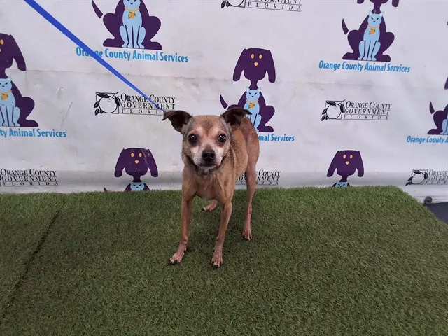 Jax