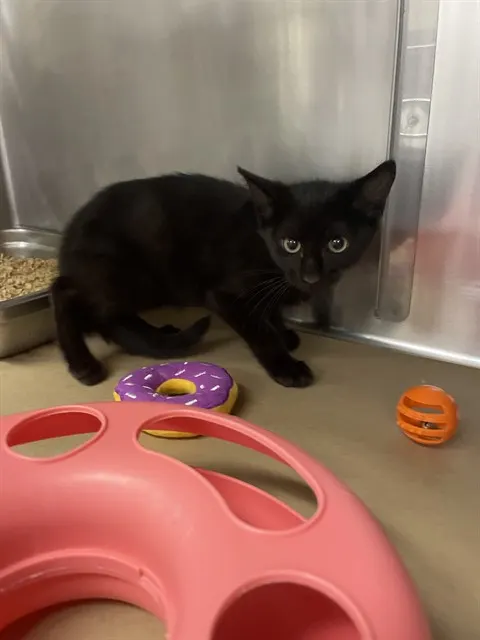 Matilda