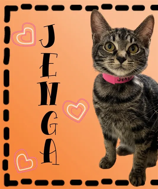 Jenga