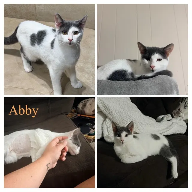 Abby