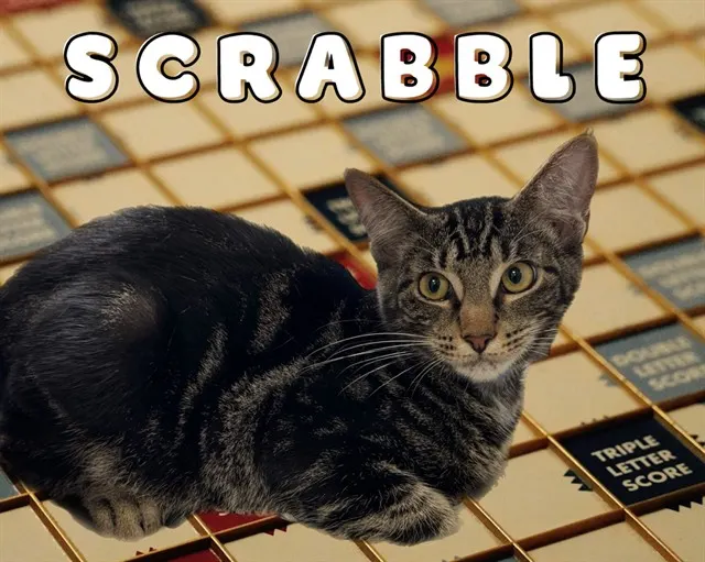 Scrabble