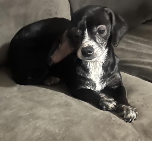 Betty Boo