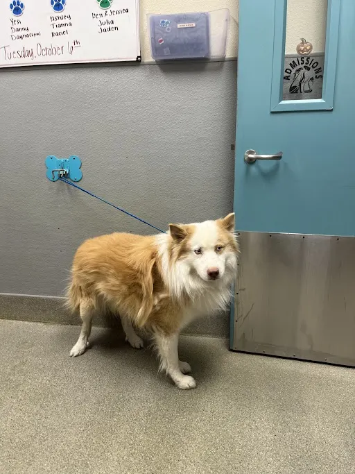 Max