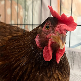 *Avian