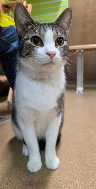 Archie