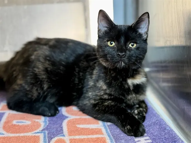 *Sabrina