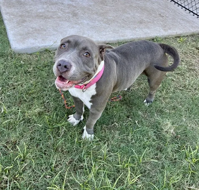 Bella