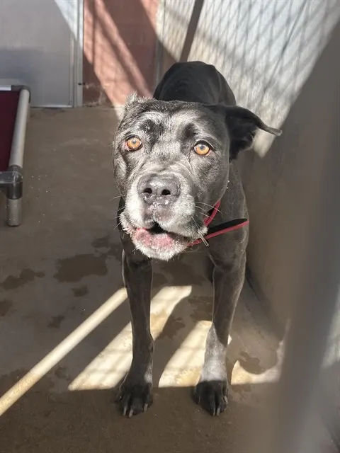 Luna