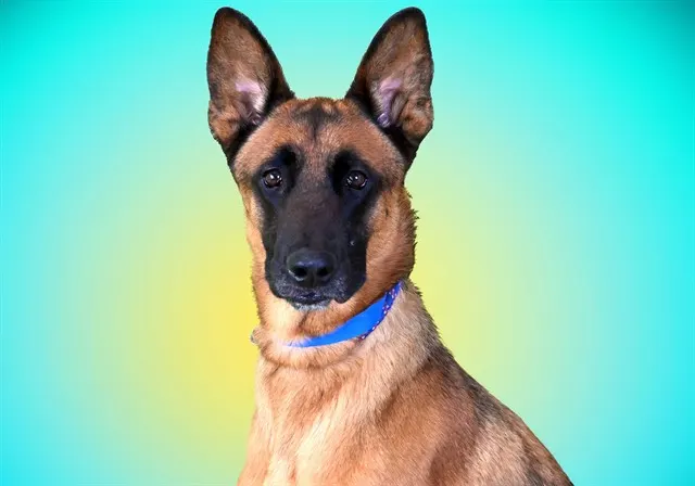 Max