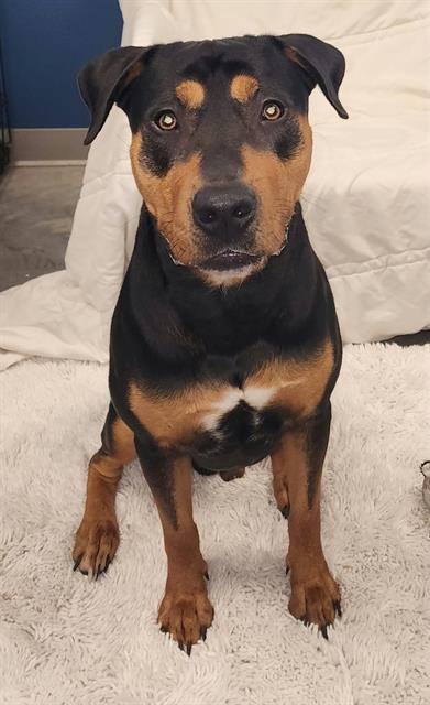 Axel
