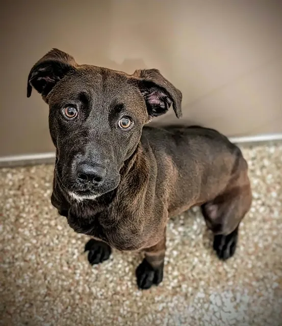 Luna Mae