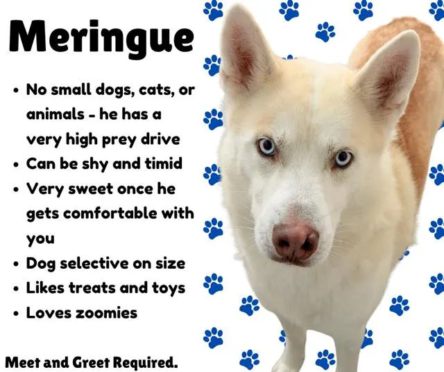 Meringue