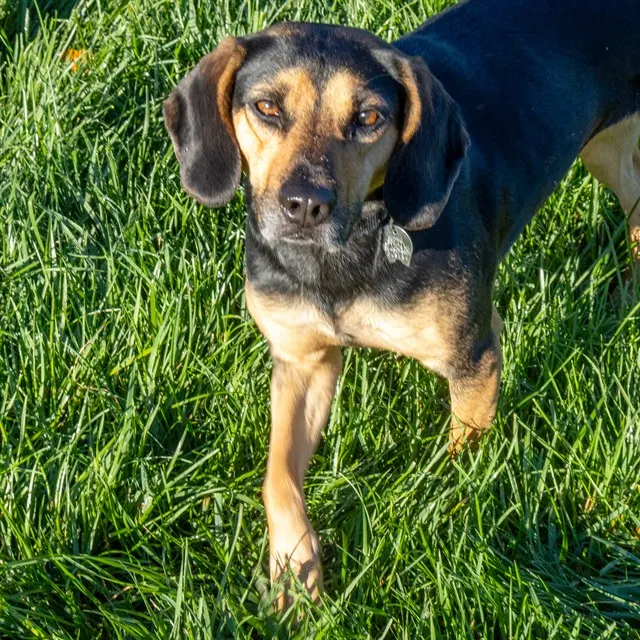 Winnie